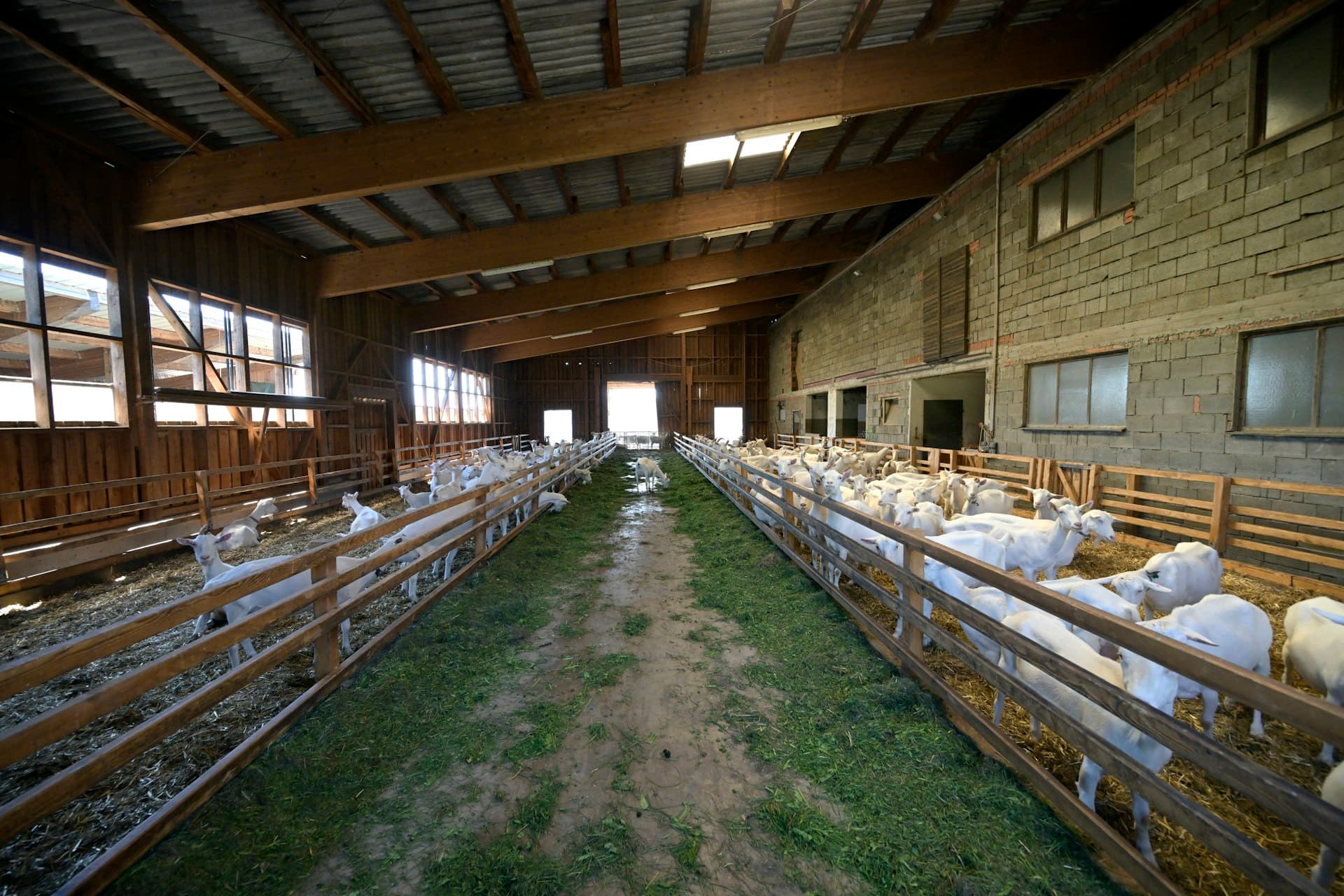 Mixed farming operations