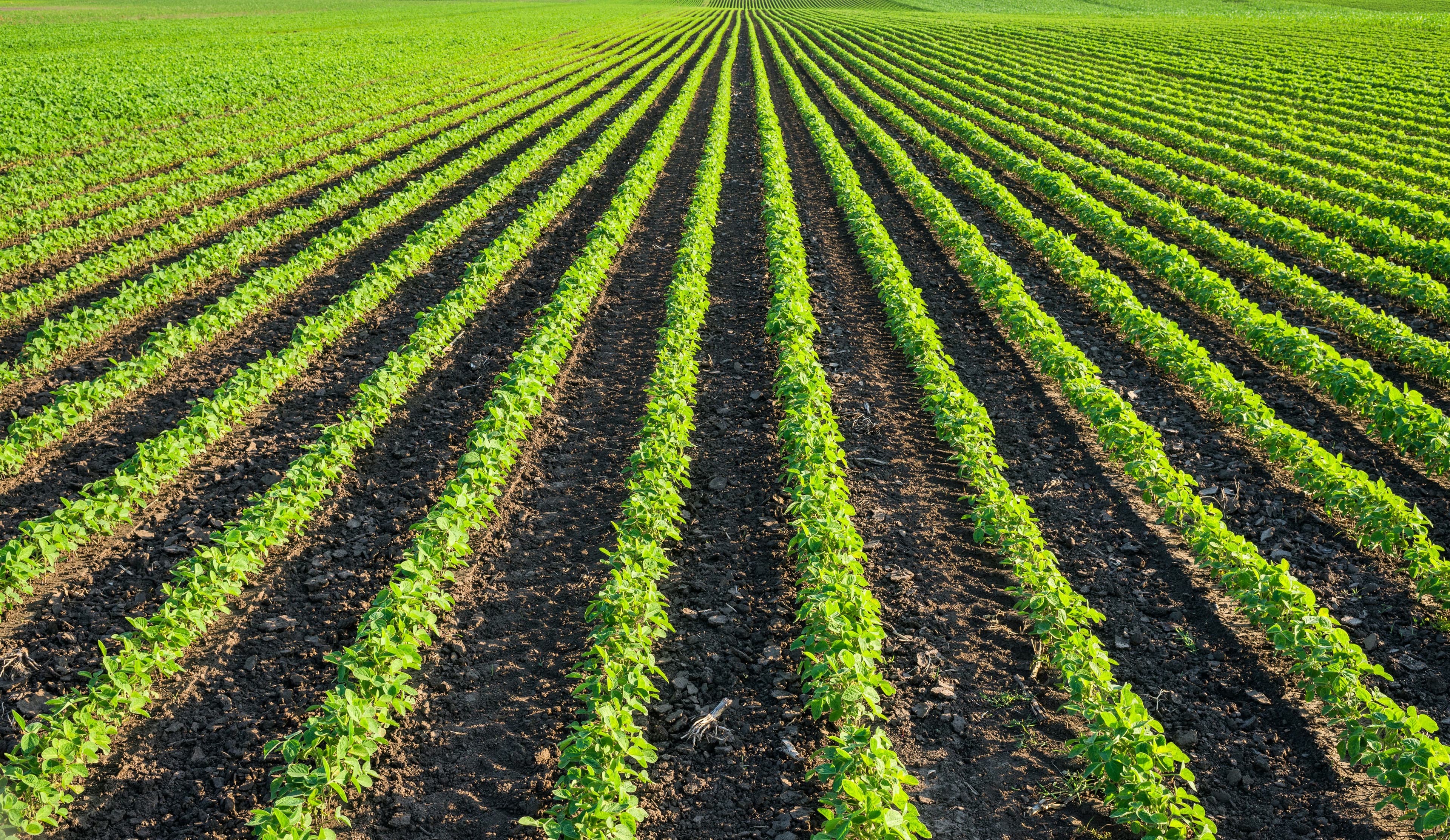 Your income depends entirely on one season