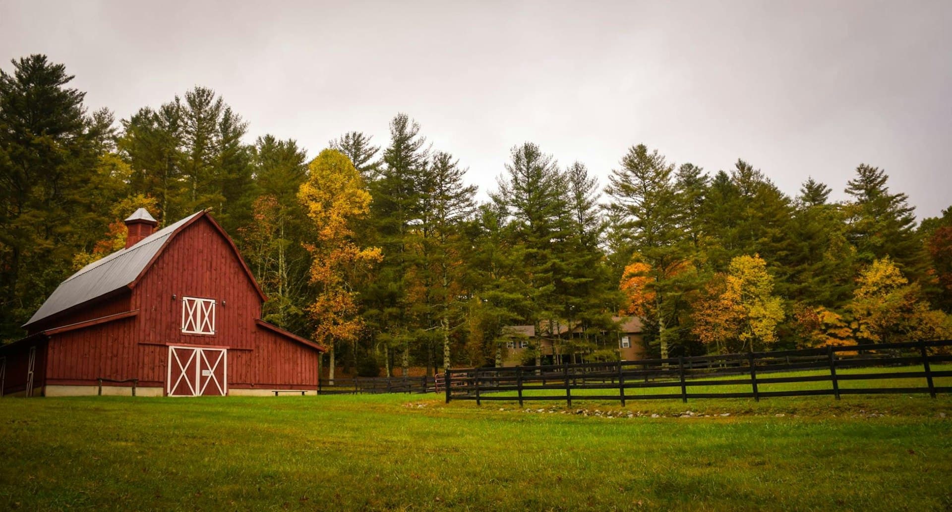 Ontario barn surrounded by trees — keep your Commonwell policy with Roughley
