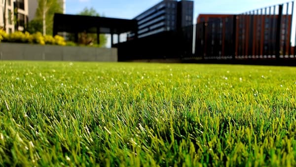 Landscaping Insurance