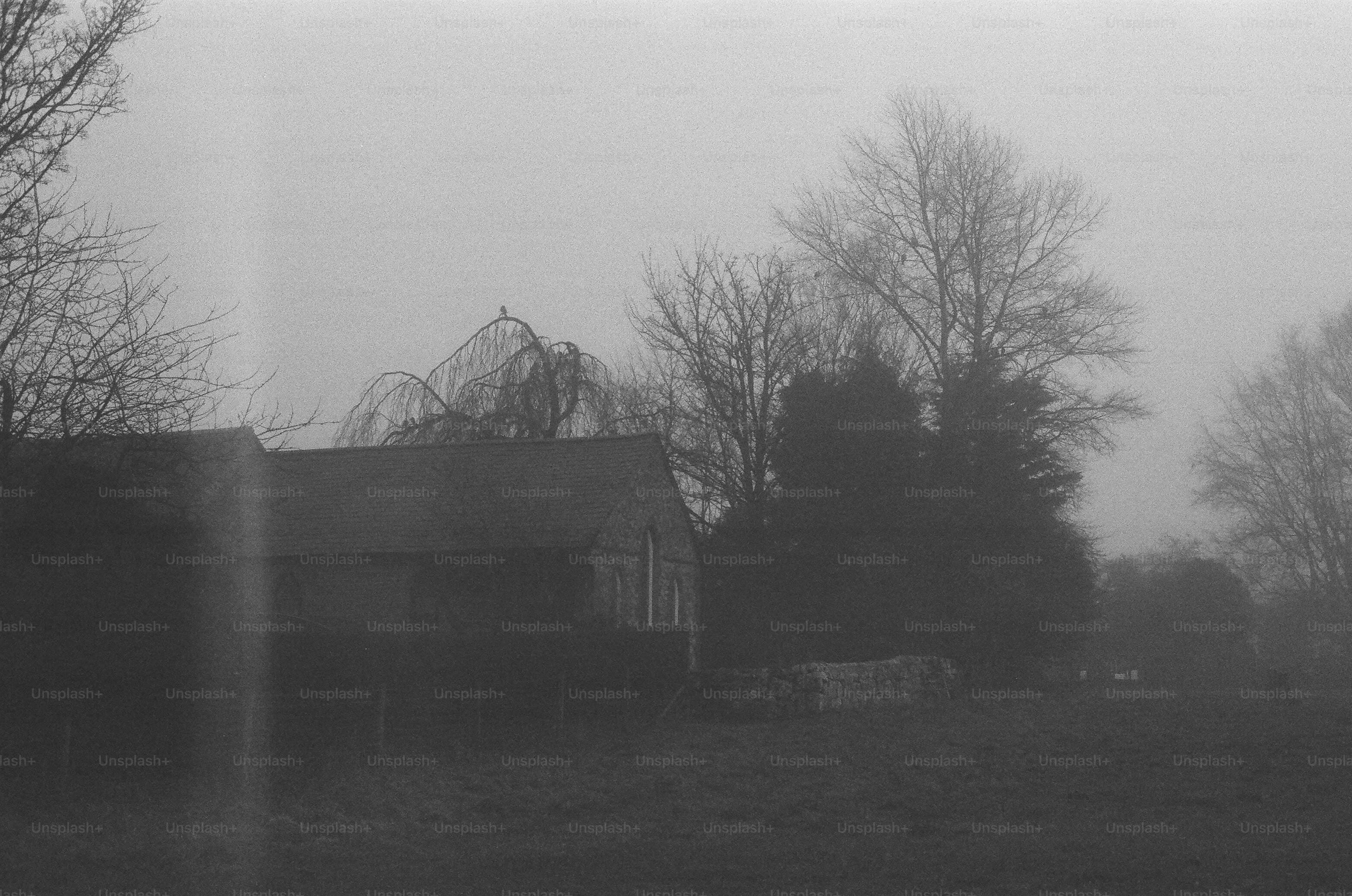 CFIA compensation does not make you whole