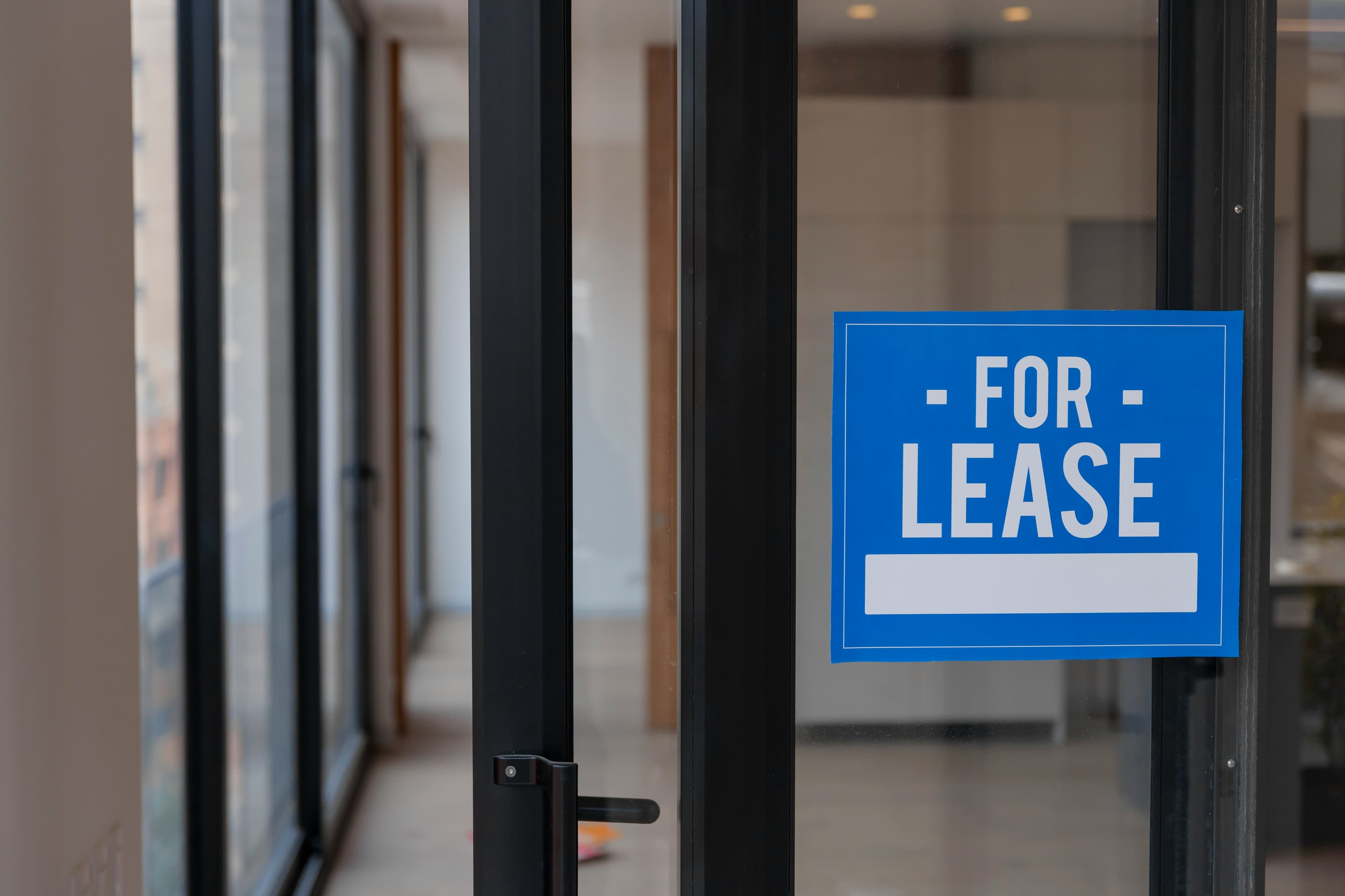 Your lease probably dictates your insurance