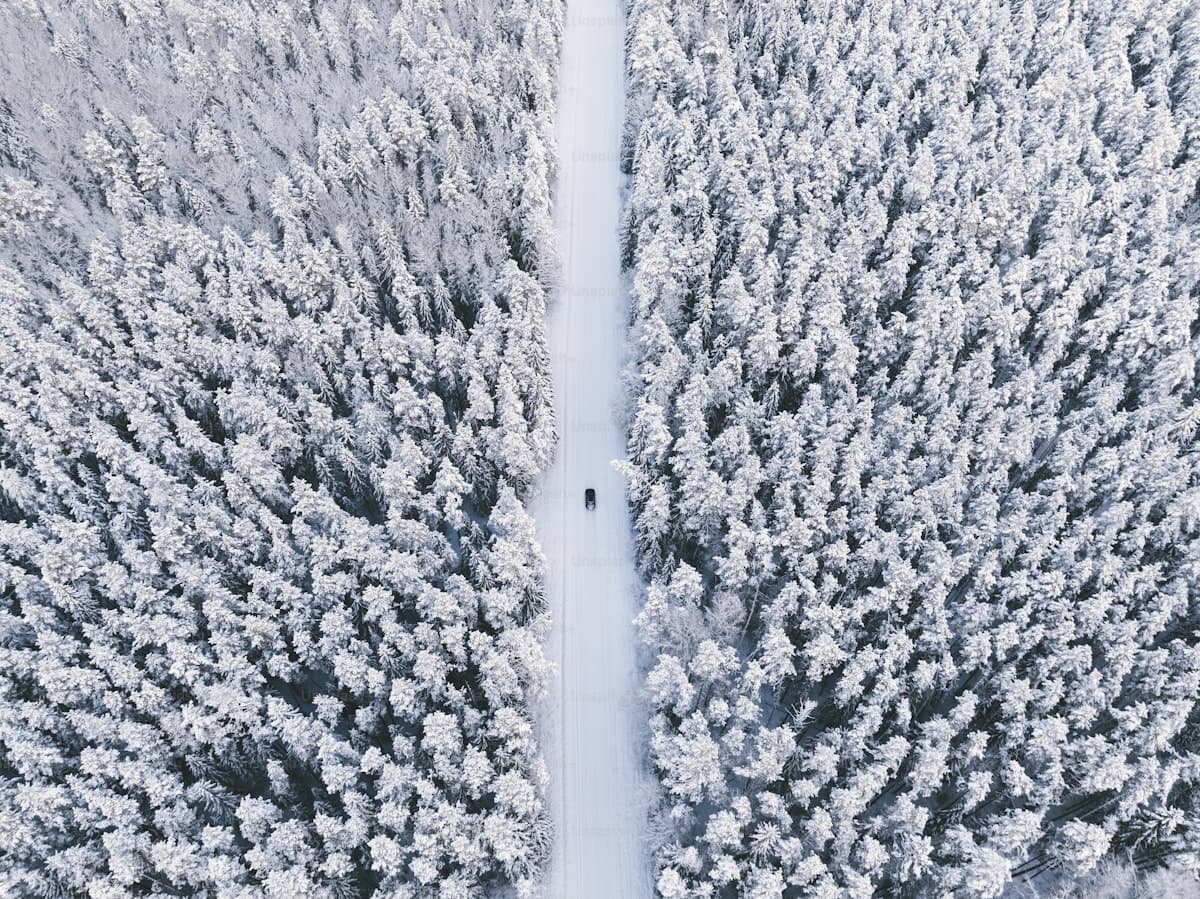 Snowmobile & ATV Insurance