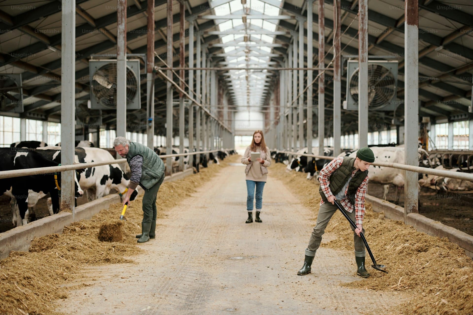 Dairy Farm Insurance in Ontario