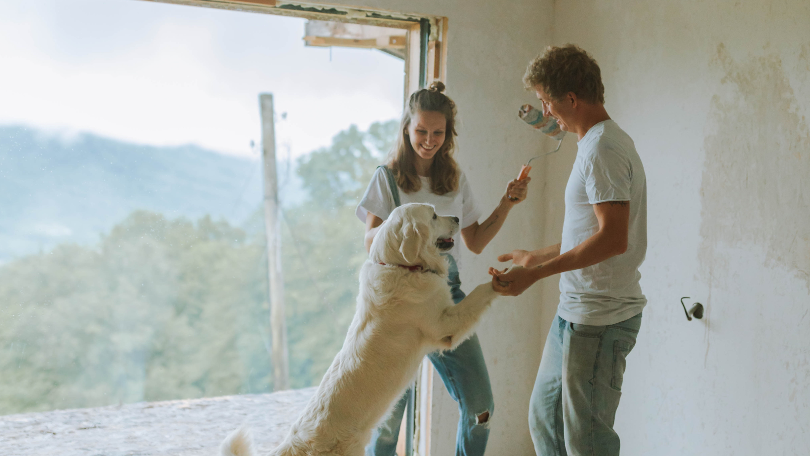 home renovations with a couple and a dog