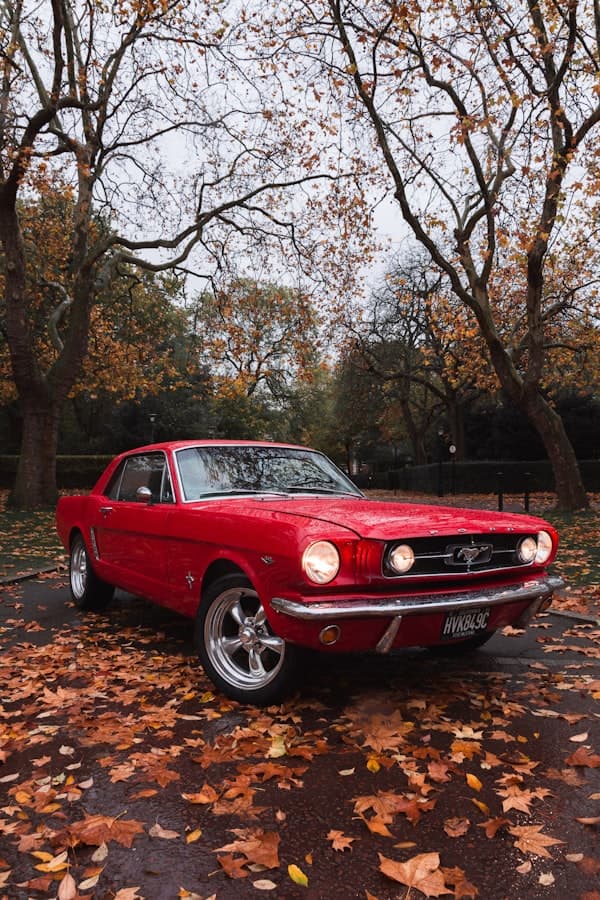 Classic Car